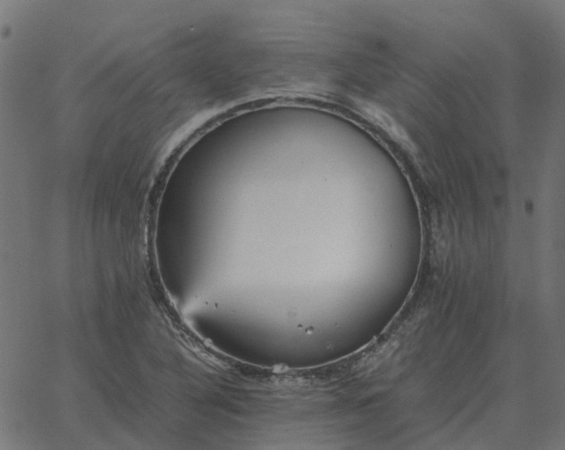 X0000067891316200604271816