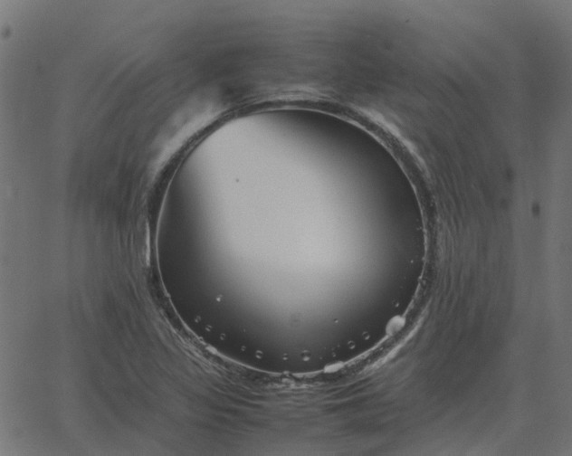 X0000067891317200604271816