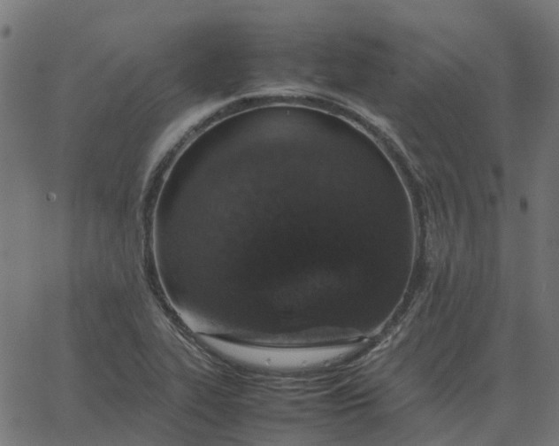 X0000067891319200604271816