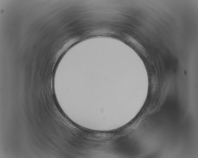 X0000067891322200604271816