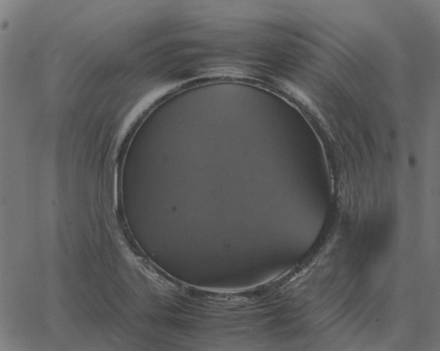 X0000067891323200604271816