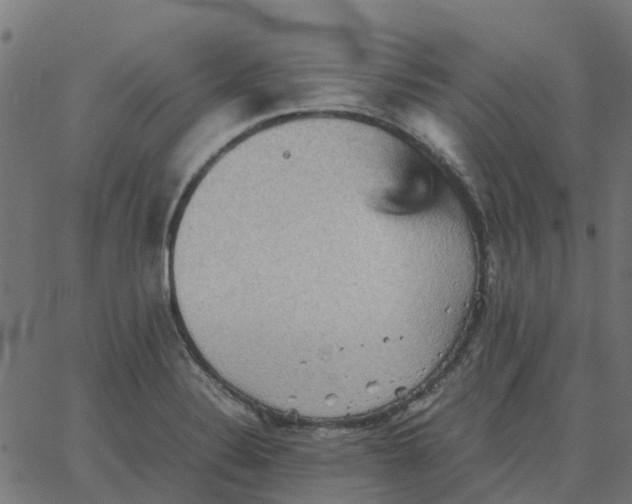 X0000067891324200604271816