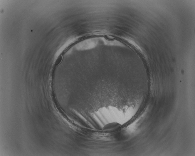 X0000067891325200604271816