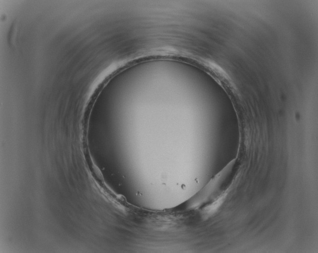 X0000067891326200604271816