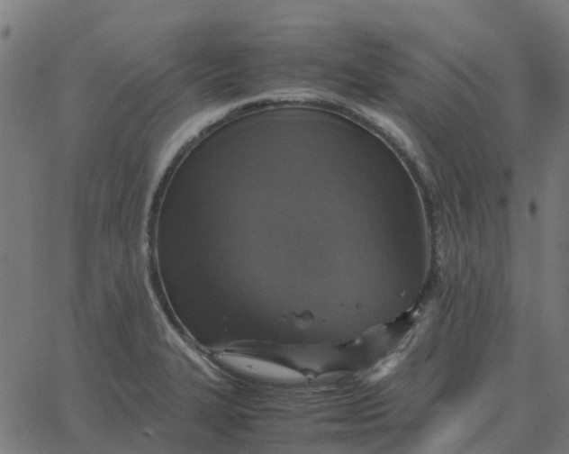 X0000067891327200604271816