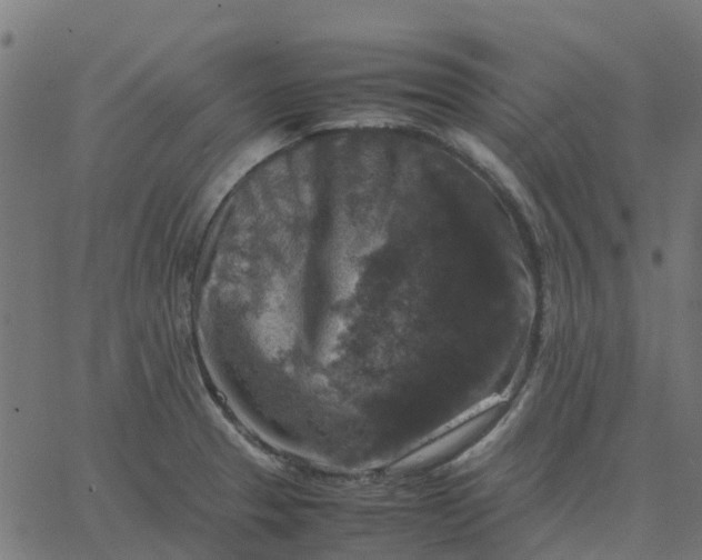 X0000067891329200604271816