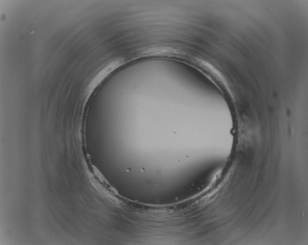 X0000067891330200604271816