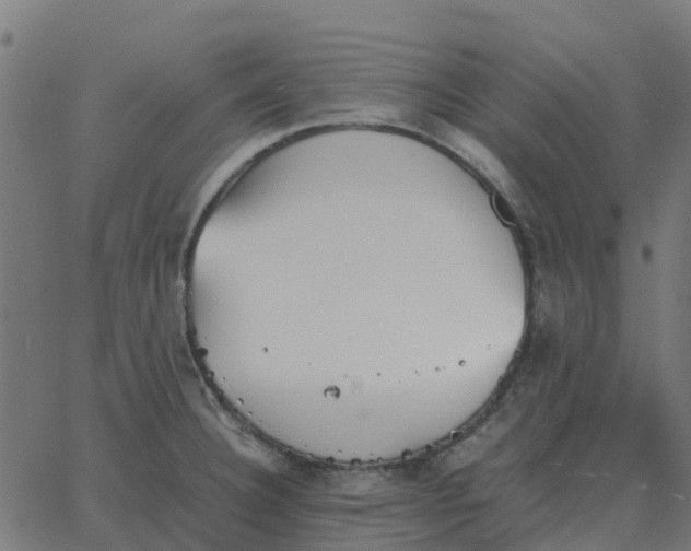 X0000067891332200604271816