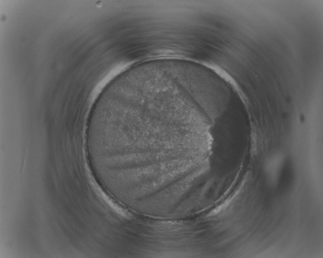 X0000067891333200604271816