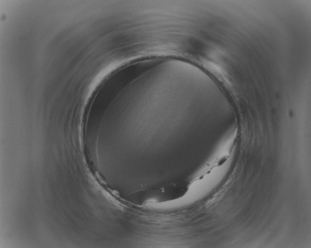 X0000067891334200604271816