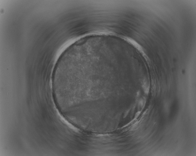 X0000067891335200604271817