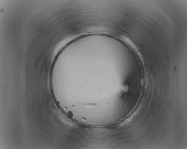 X0000067891336200604271817