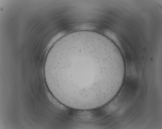 X0000067891338200604271817