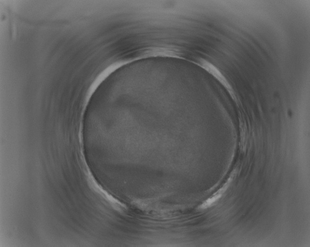 X0000067891339200604271817