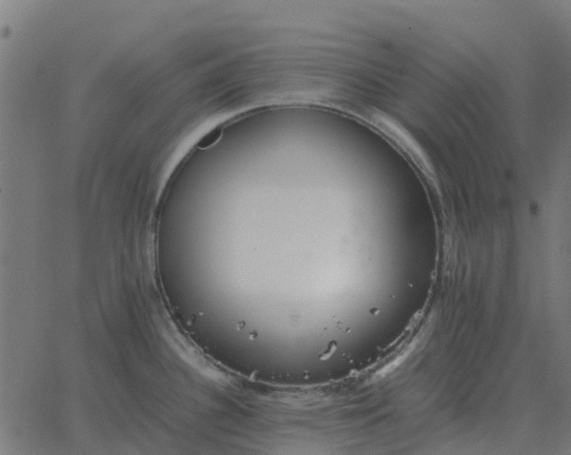 X0000067891340200604271817