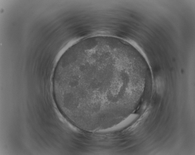 X0000067891341200604271817