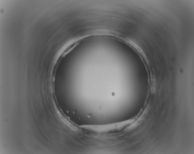 X0000067891342200604271817