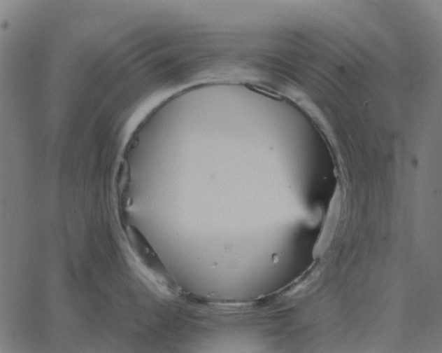 X0000067891344200604271817