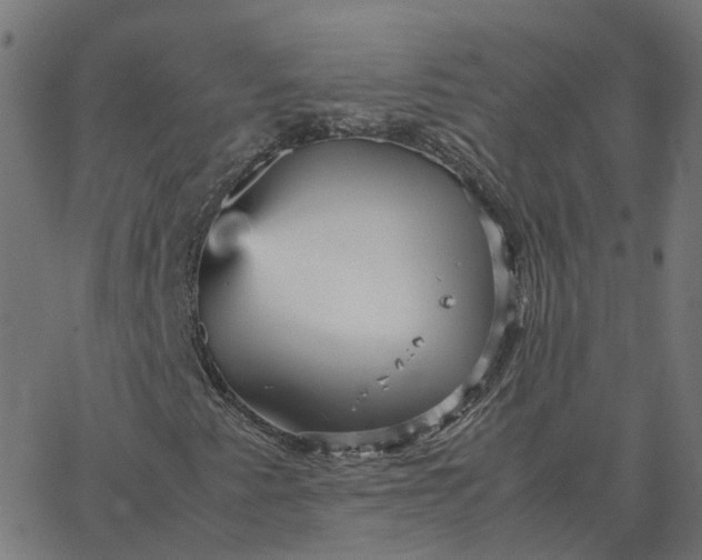 X0000067891345200604271816