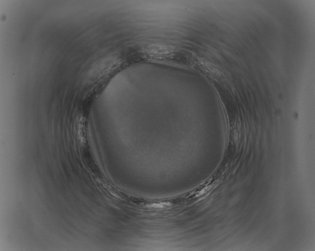 X0000067891346200604271816