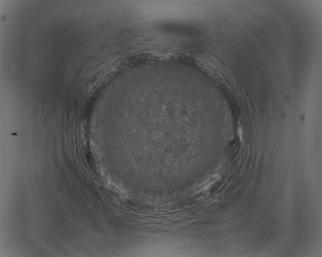 X0000067891347200604271816