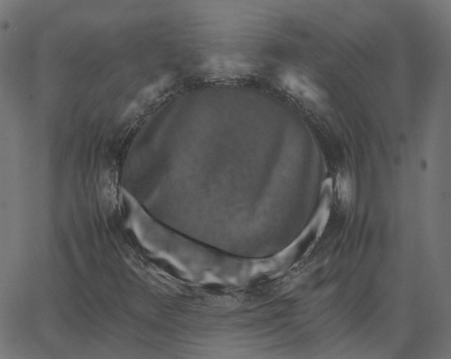 X0000067891348200604271816