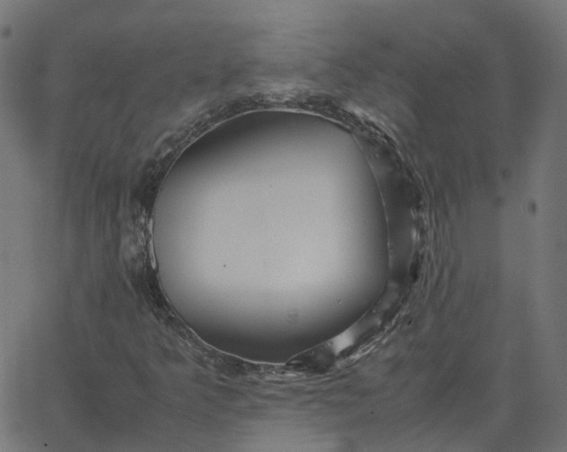 X0000067891349200604271816