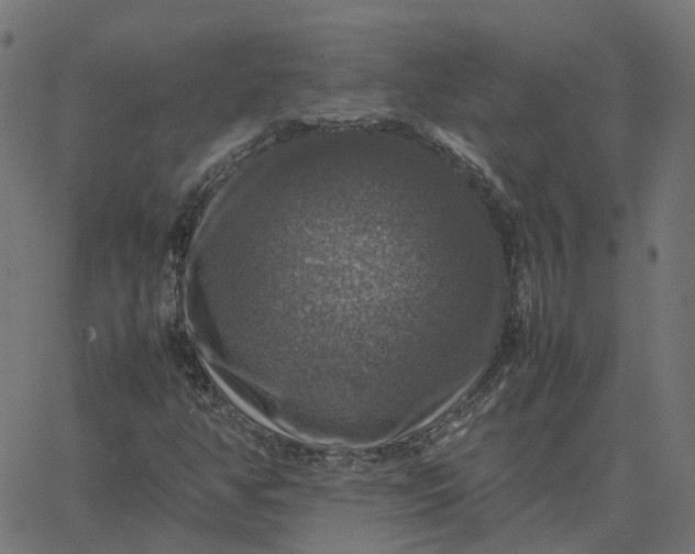 X0000067891350200604271816