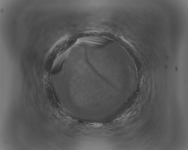 X0000067891351200604271816