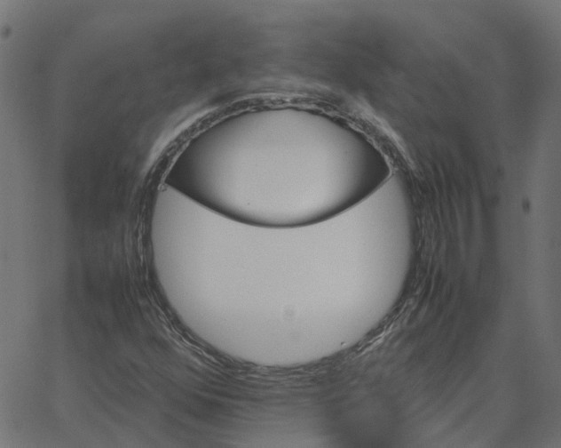 X0000067891352200604271816