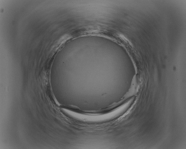 X0000067891353200604271816