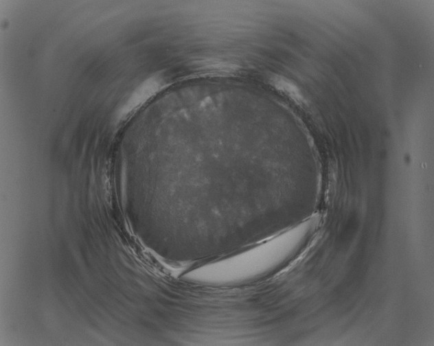 X0000067891354200604271816