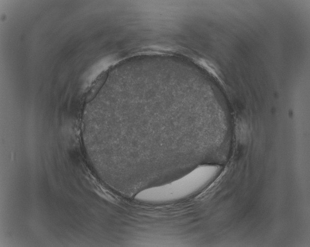 X0000067891355200604271816