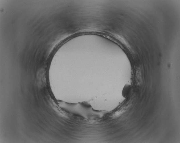 X0000067891356200604271816