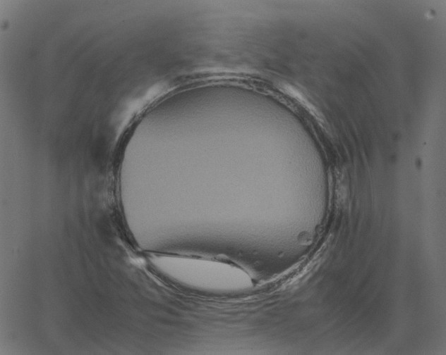 X0000067891357200604271816