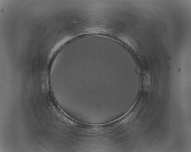 X0000067891358200604271816