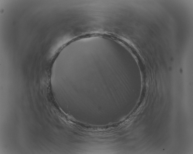 X0000067891359200604271816