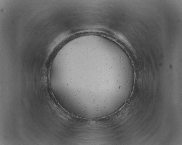 X0000067891360200604271816