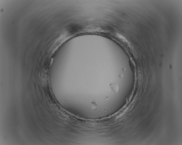 X0000067891361200604271816