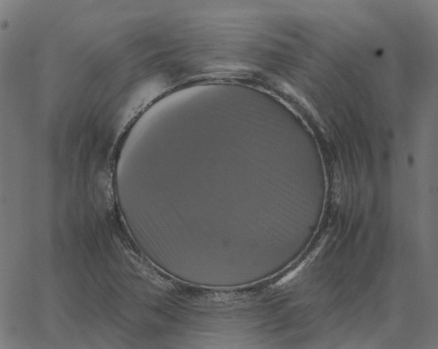 X0000067891362200604271816