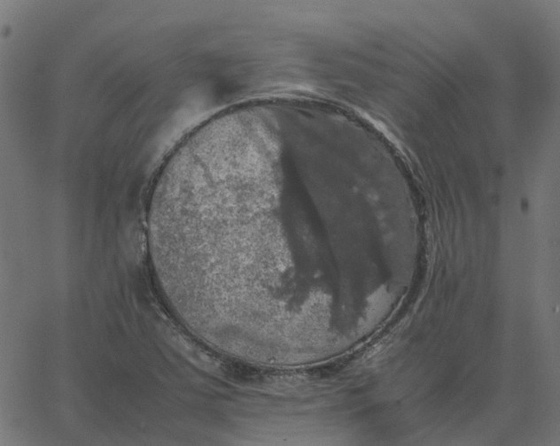 X0000067891363200604271816