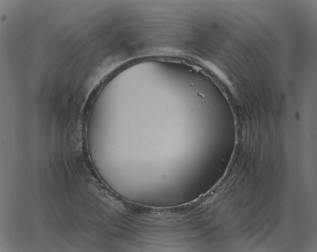 X0000067891364200604271816