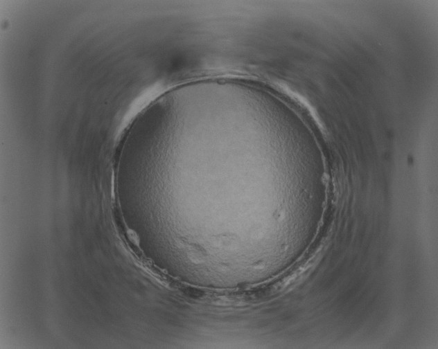 X0000067891365200604271816