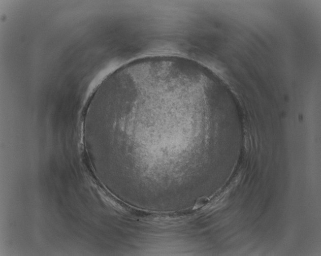 X0000067891366200604271816