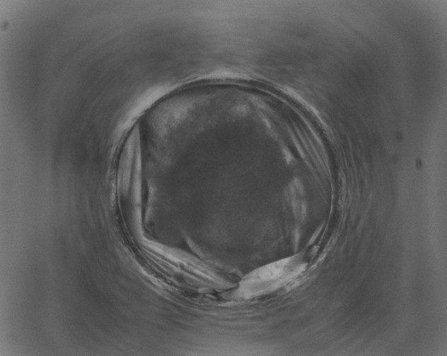 X0000067891367200604271816