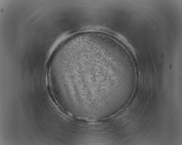 X0000067891368200604271815