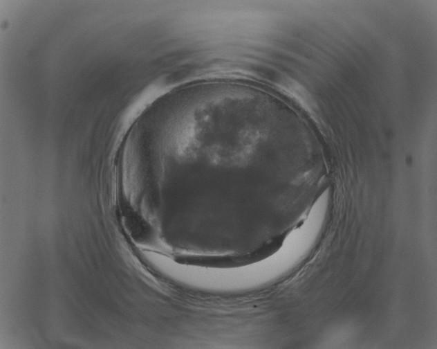 X0000067891371200604271815