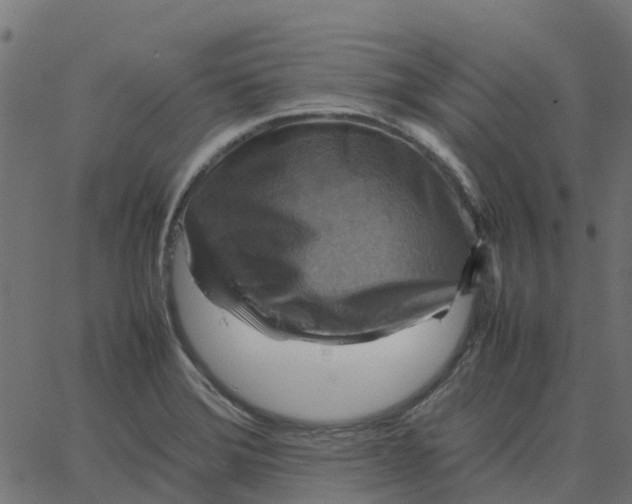 X0000067891372200604271815