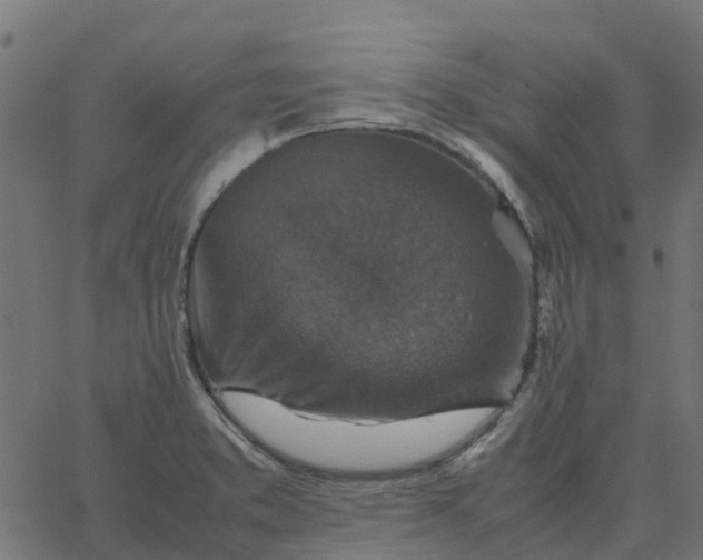 X0000067891373200604271815