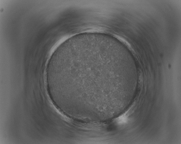 X0000067891375200604271815